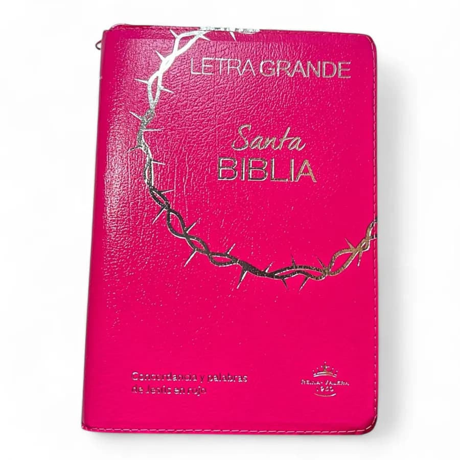 Biblia Letra Grande Rosa