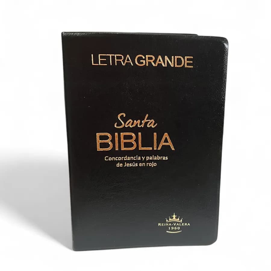 Biblia Letra Grande Negra